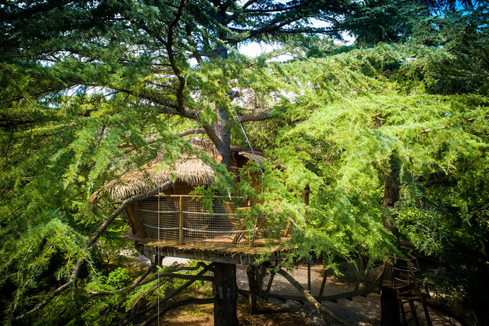 Cabane Grand Duc, cabane dans les arbres à Castries