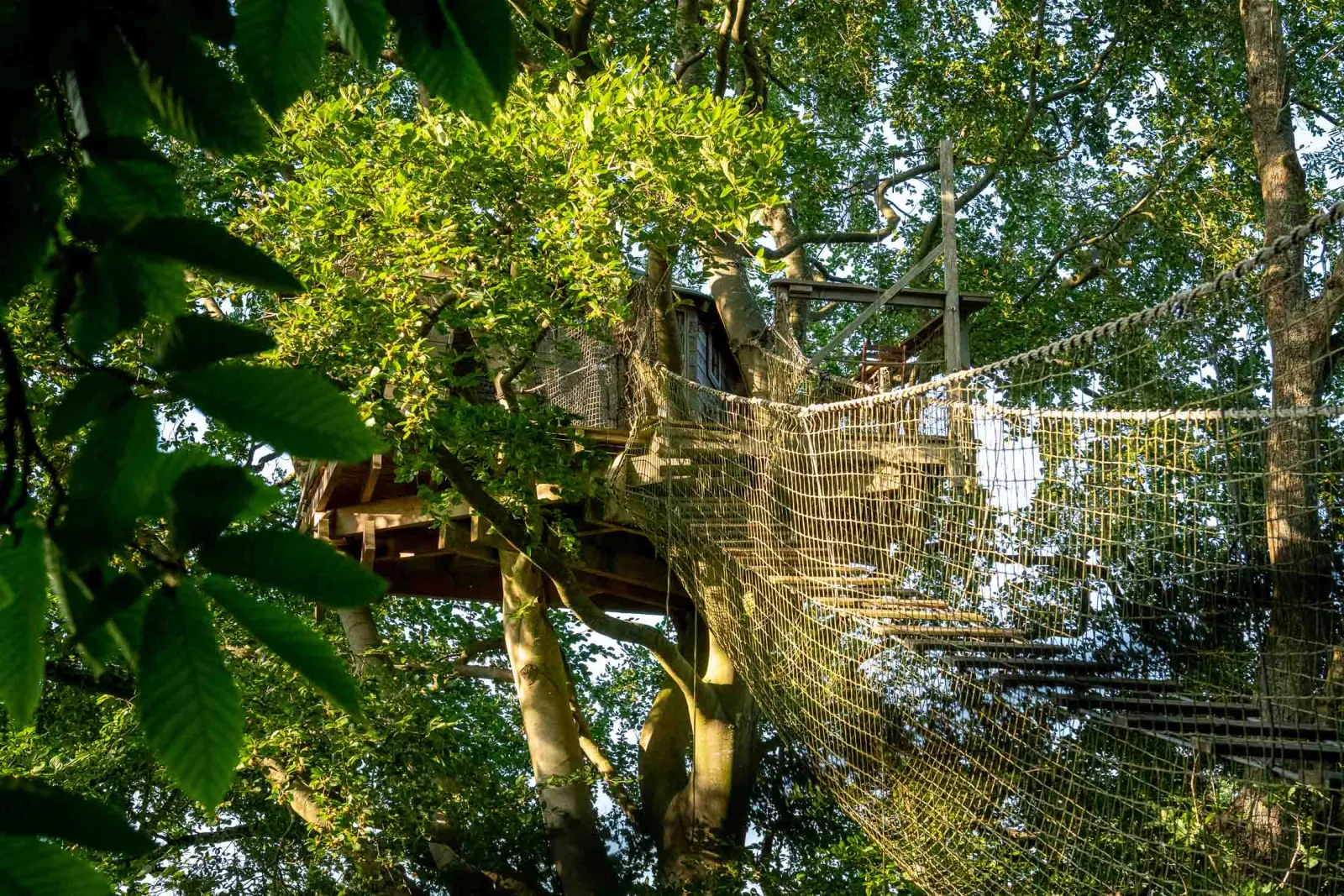 Cabane Grand Duc, cabane dans les arbres à Saint-Pierre-Azif