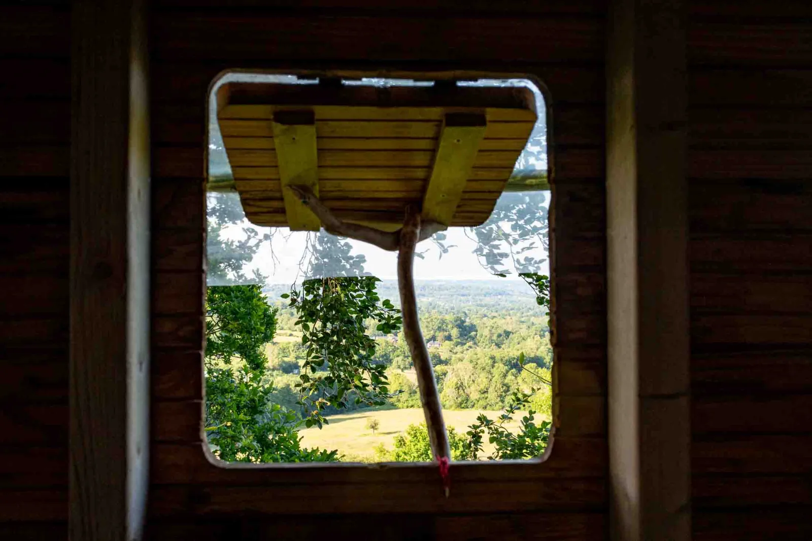 Cabane Grand Duc à Saint-Pierre-Azif, photo 5