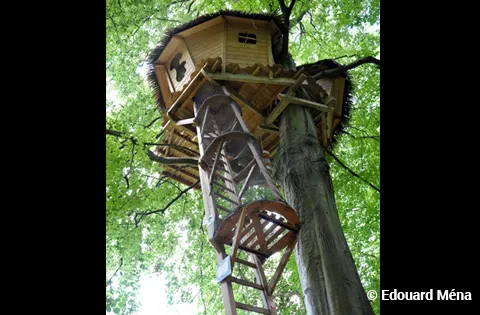 Cabane Grand Hêtre, cabane dans les arbres à Saint-Germain-des-Essourts