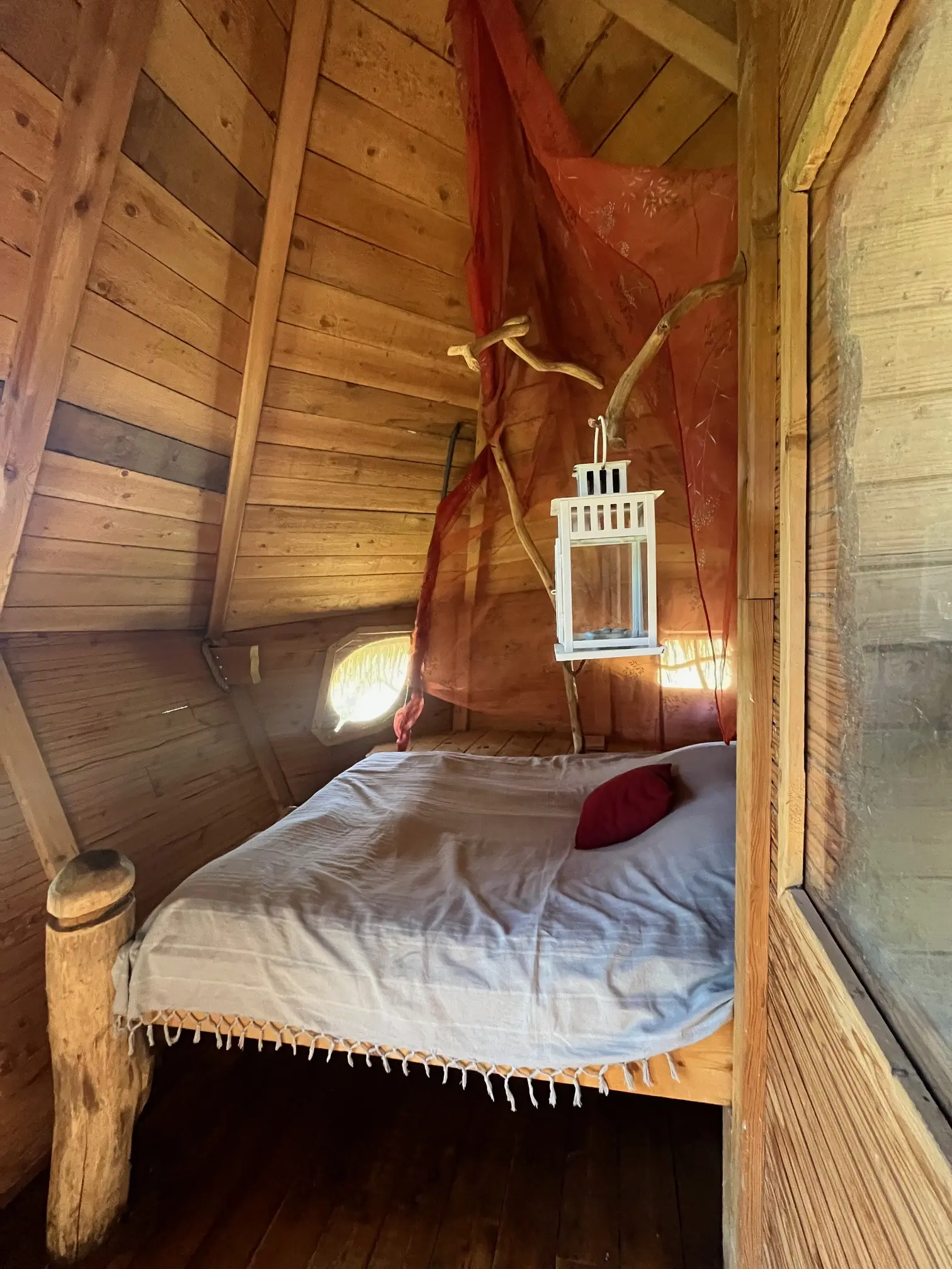 Cabane Grand Hêtre à Saint-Germain-des-Essourts, photo 2