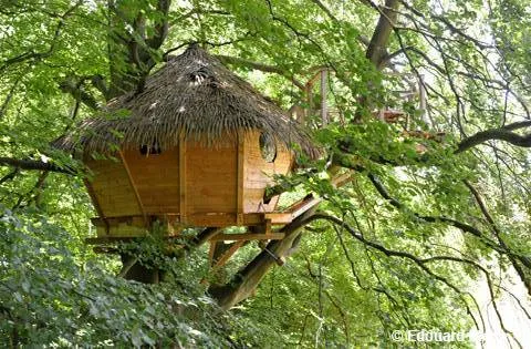 Cabane Grand Hêtre à Saint-Germain-des-Essourts, photo 3