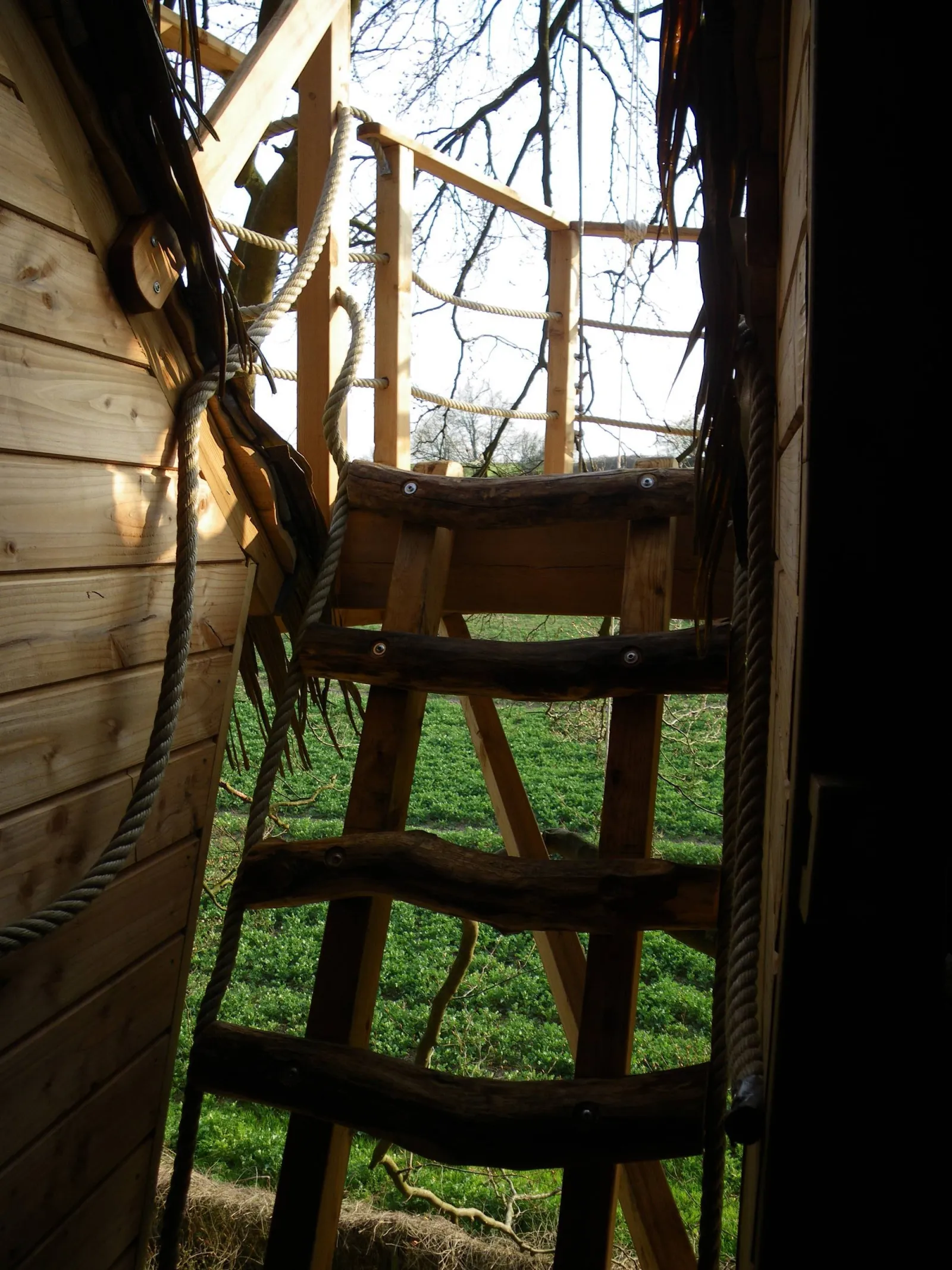 Cabane Grand Hêtre à Saint-Germain-des-Essourts, photo 5