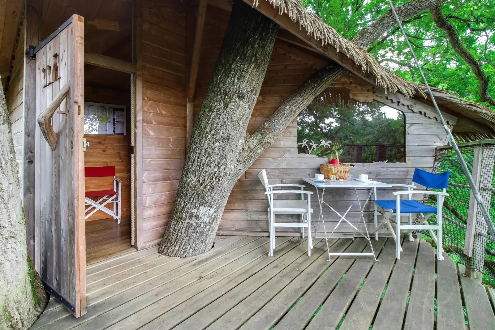 Cabane Guadeloupe, cabane dans les arbres à La Baconnière