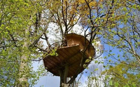 Cabane Guadeloupe à La Baconnière, photo 2