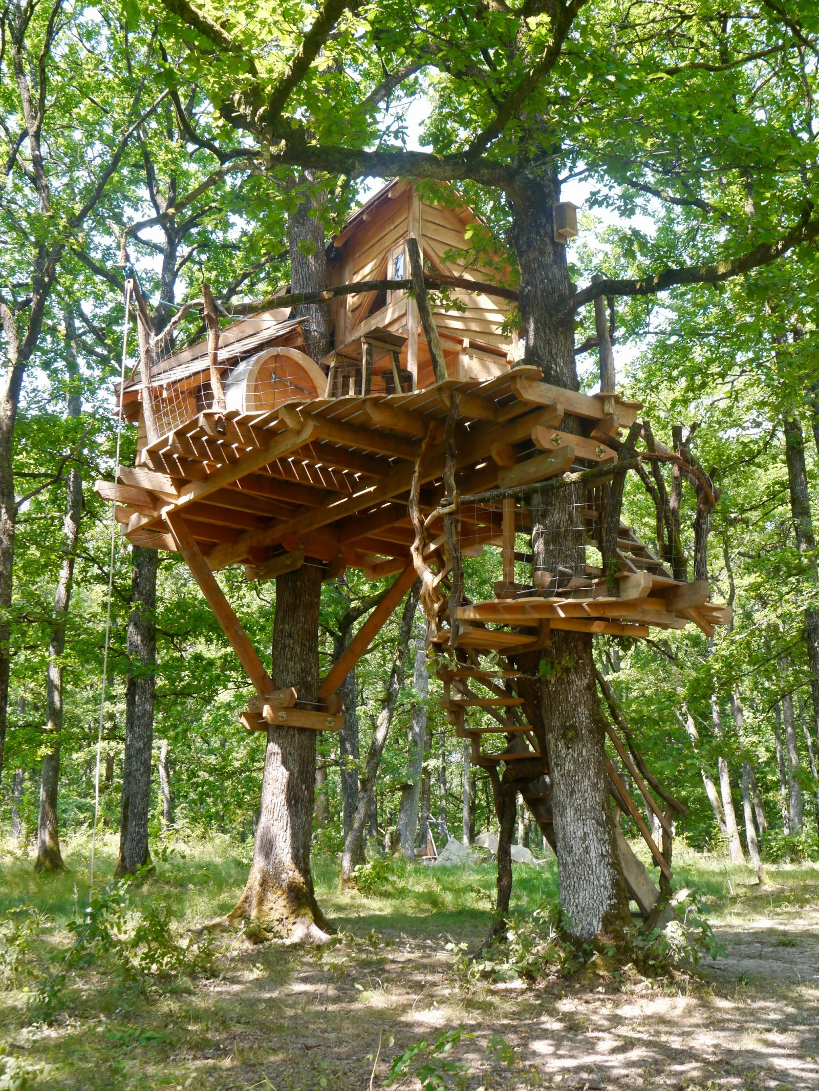Cabane Haona Nui, cabane dans les arbres à Vittel