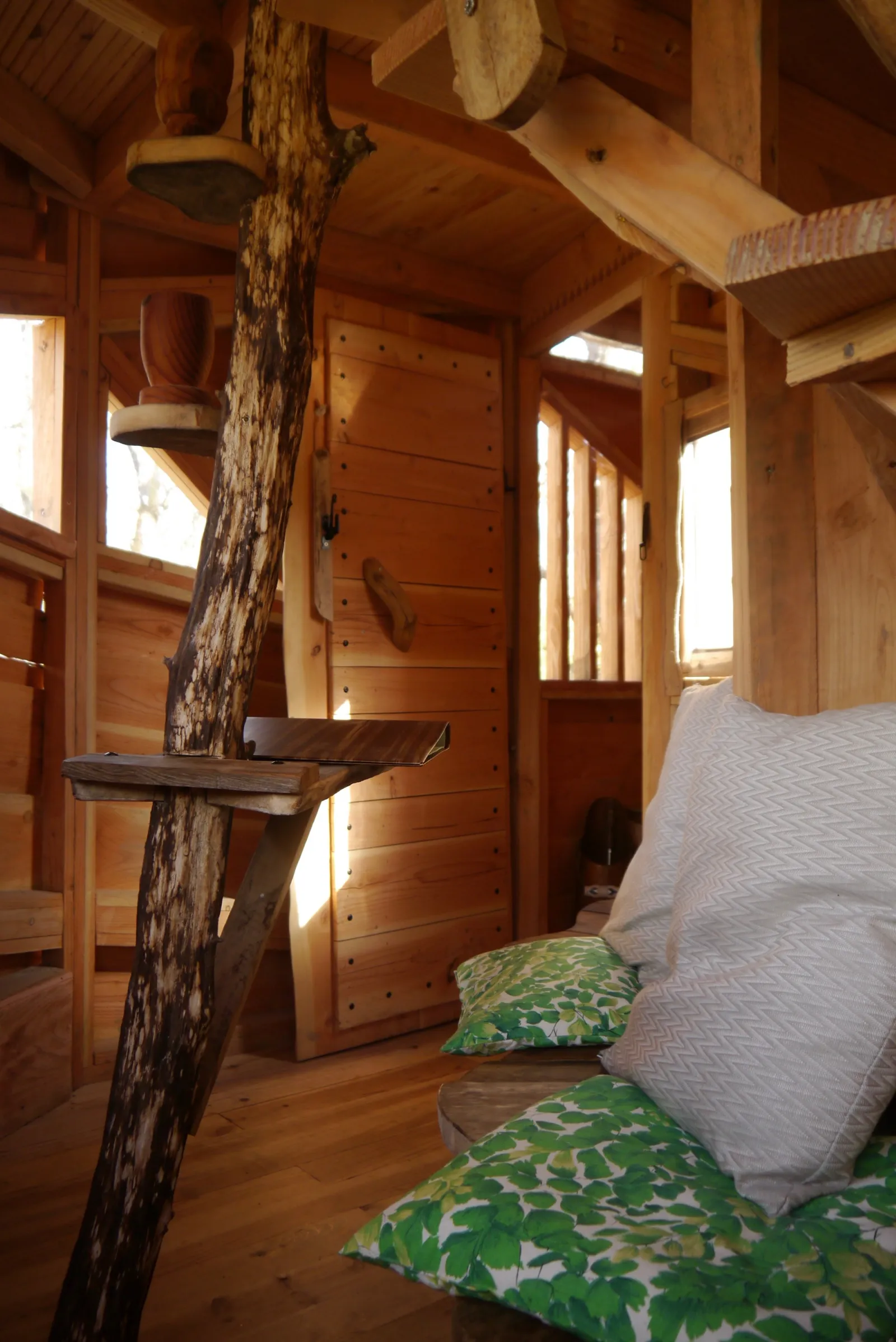 Cabane Haona Nui à Vittel, photo 5