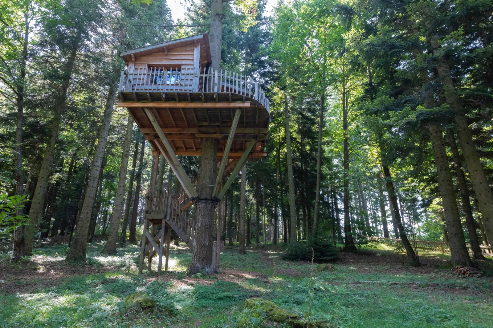 Cabane Hérisson à Belsentes, photo 5