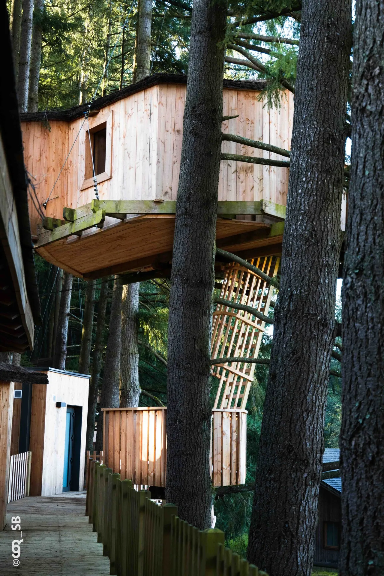 Cabane Héron, cabane dans les arbres à Cublize