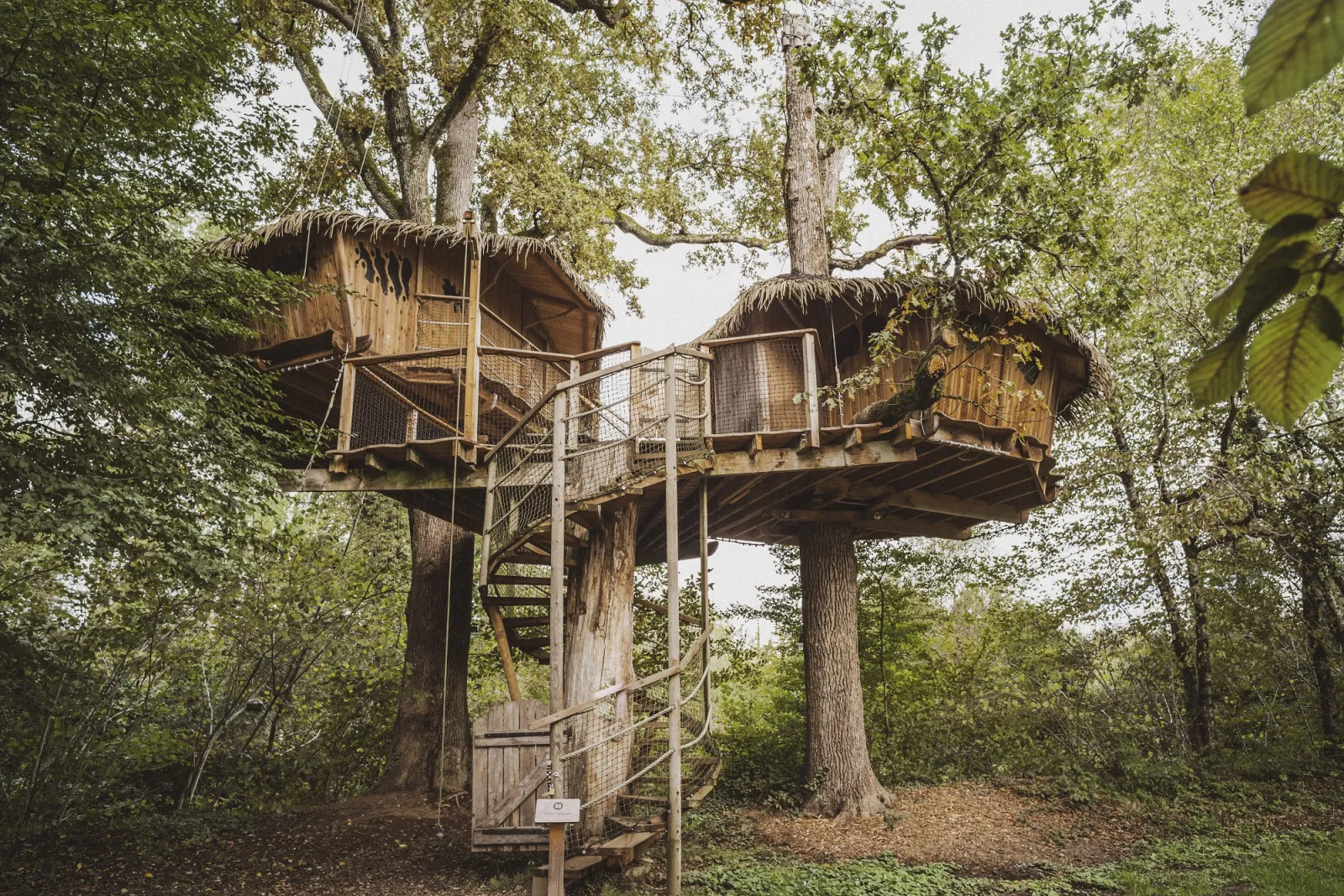 Cabane Héronnière, cabane dans les arbres à Chassey-lès-Montbozon