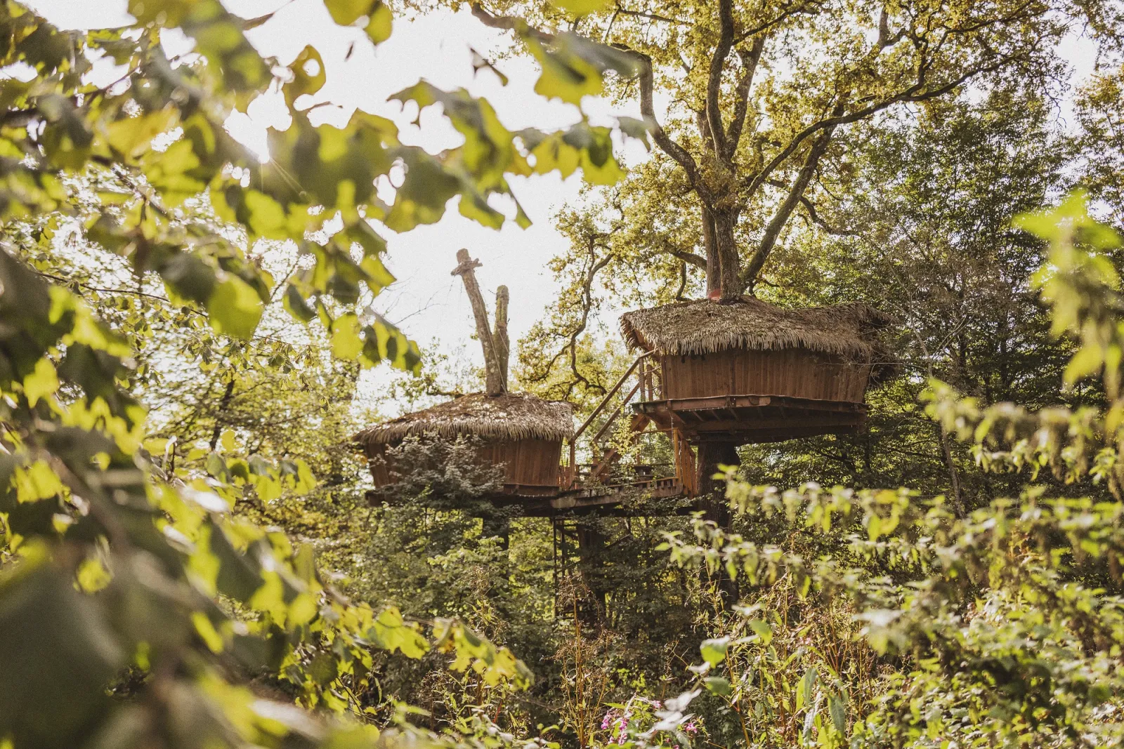 Cabane Héronnière à Chassey-lès-Montbozon, photo 3