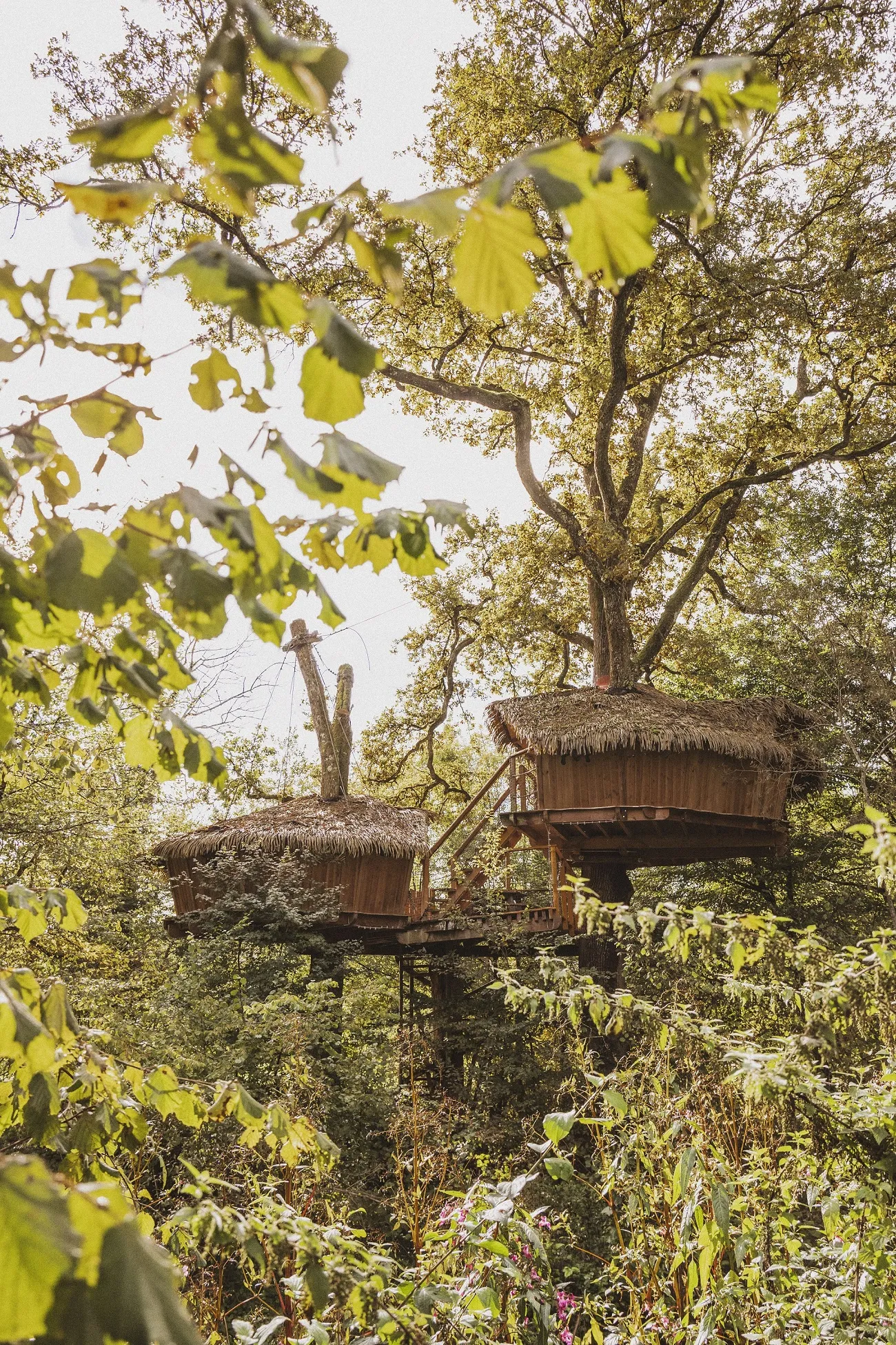 Cabane Héronnière à Chassey-lès-Montbozon, photo 4
