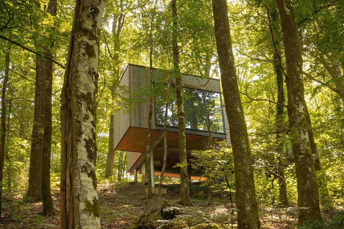 Cabane Hêtre, cabane dans les arbres à Meyrignac-l'Église