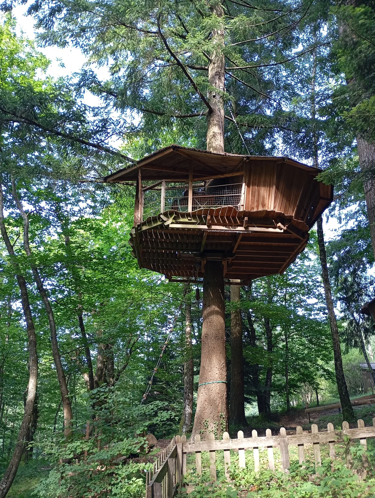 Cabane Hibou, cabane dans les arbres à Belsentes