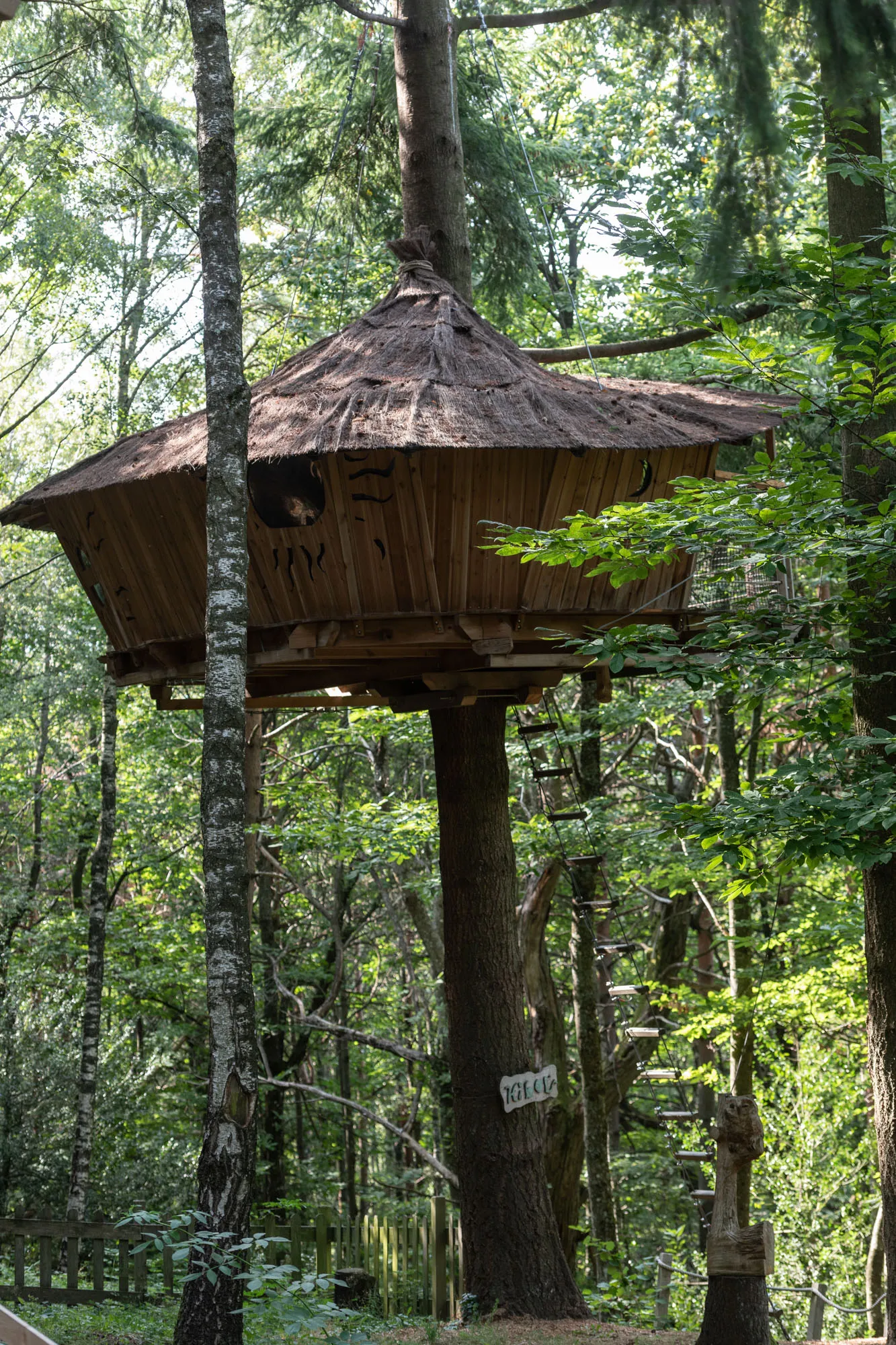 Cabane Hibou à Belsentes, photo 3