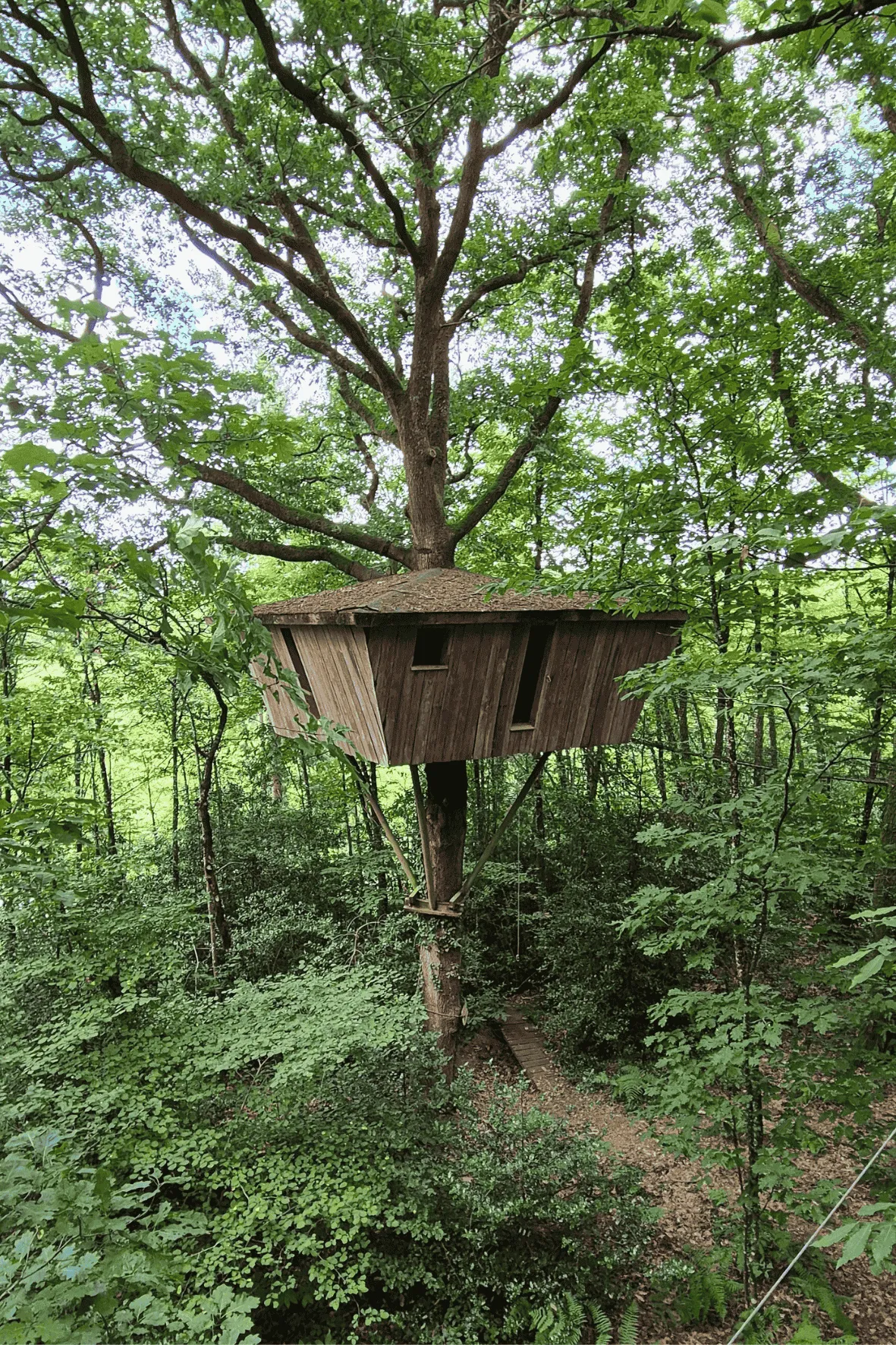 Cabane Hulotte, cabane dans les arbres à Forcé