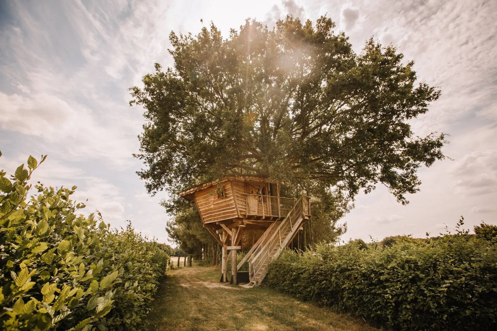 Cabane Hulotte, cabane dans les arbres à Pommerieux