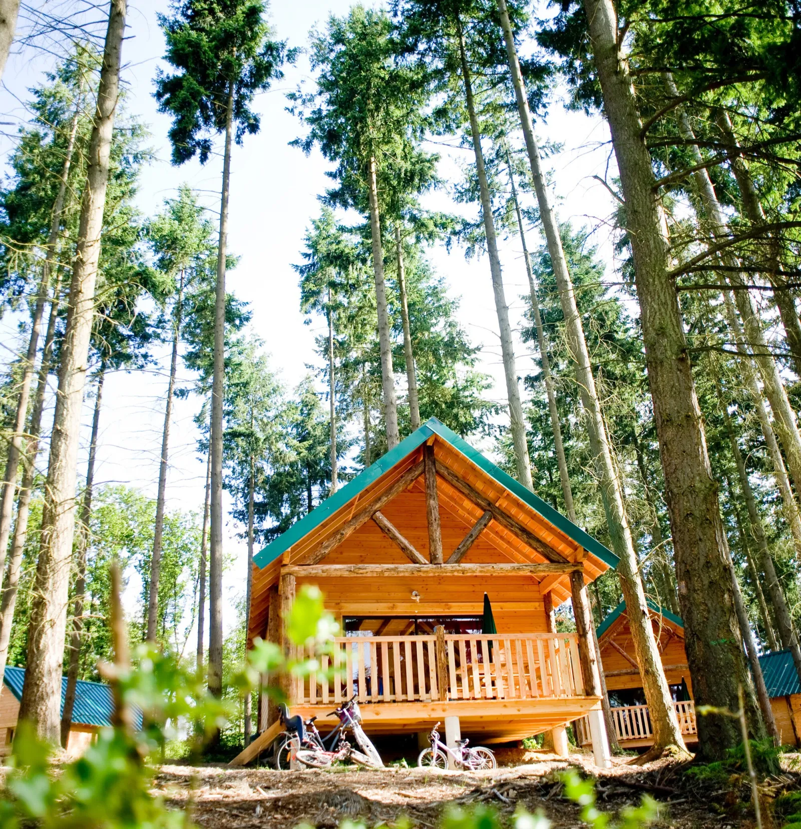 Cabane de Senonches, cabane au sol à Senonches