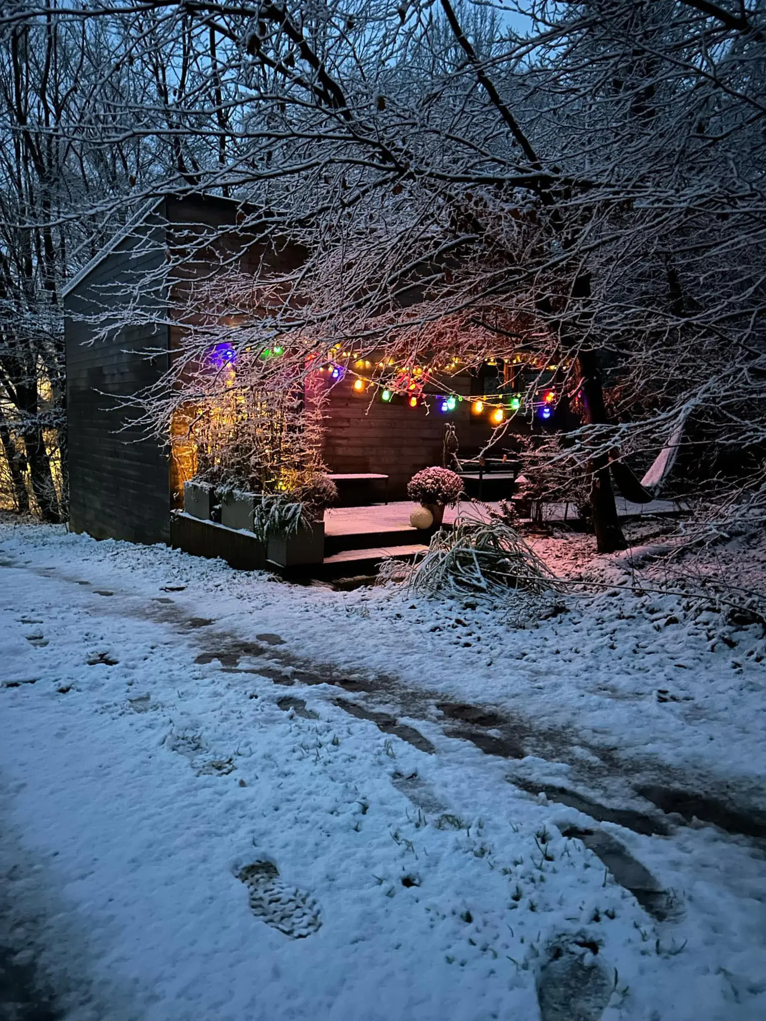Cabane Hygge, cabane au sol à Roquetoire
