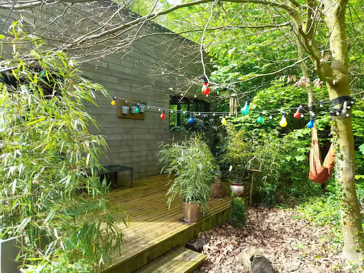 Cabane Hygge à Roquetoire, photo 2