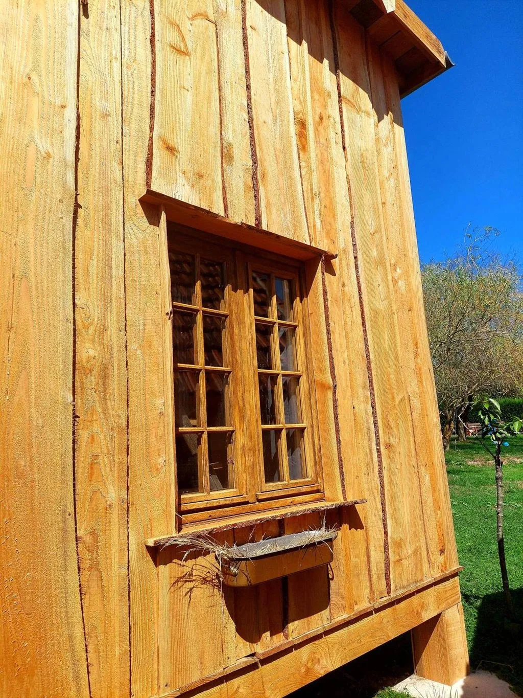 Cabane Insolite Tout Confort à Luzy, photo 3