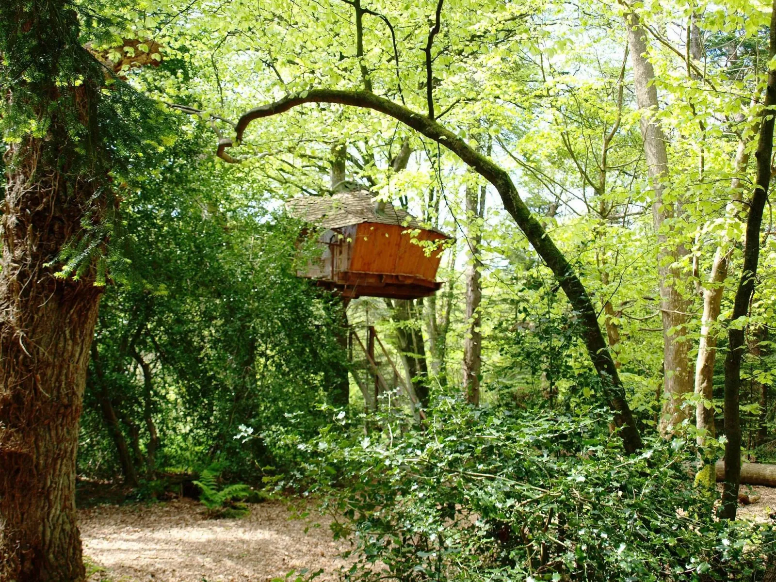 Cabane Jonquille à Cléder, photo 2