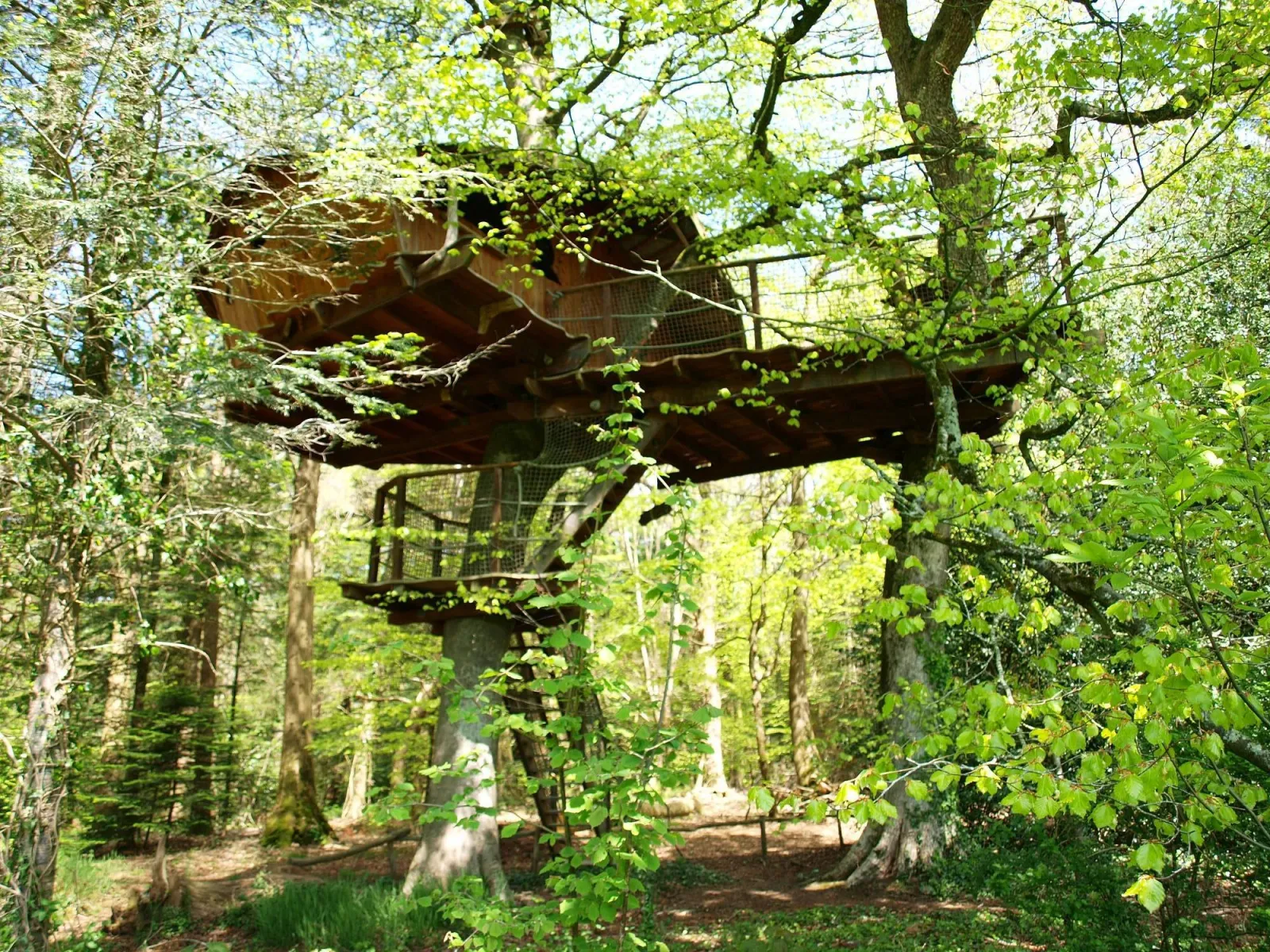 Cabane Jonquille à Cléder, photo 3