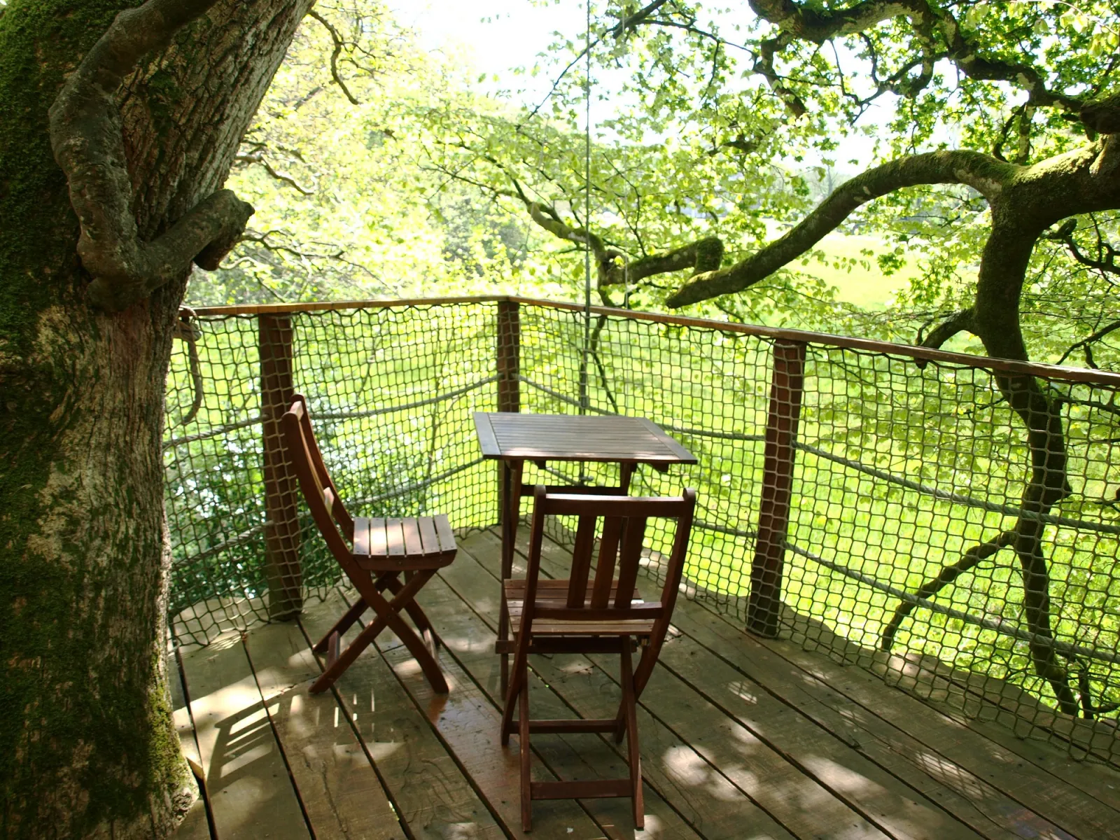 Cabane Jonquille à Cléder, photo 4