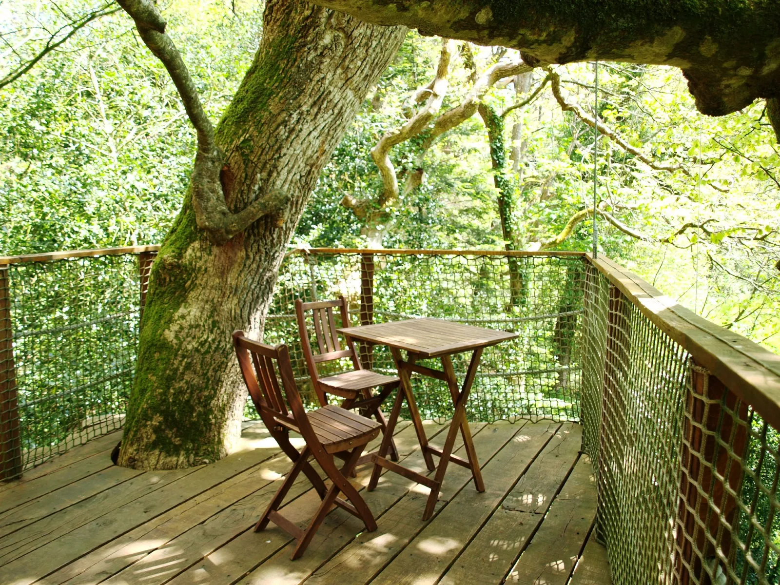 Cabane Jonquille à Cléder, photo 5
