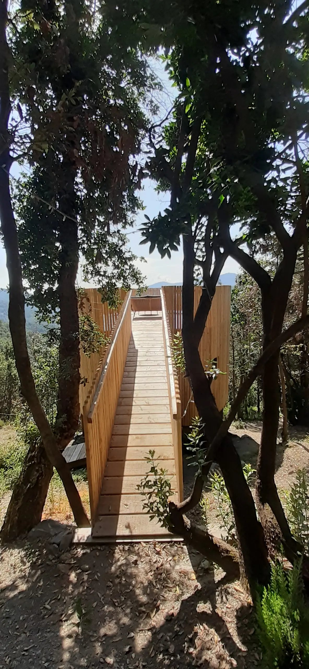 Cabane l'Albitru à Poggio-Marinaccio, photo 4