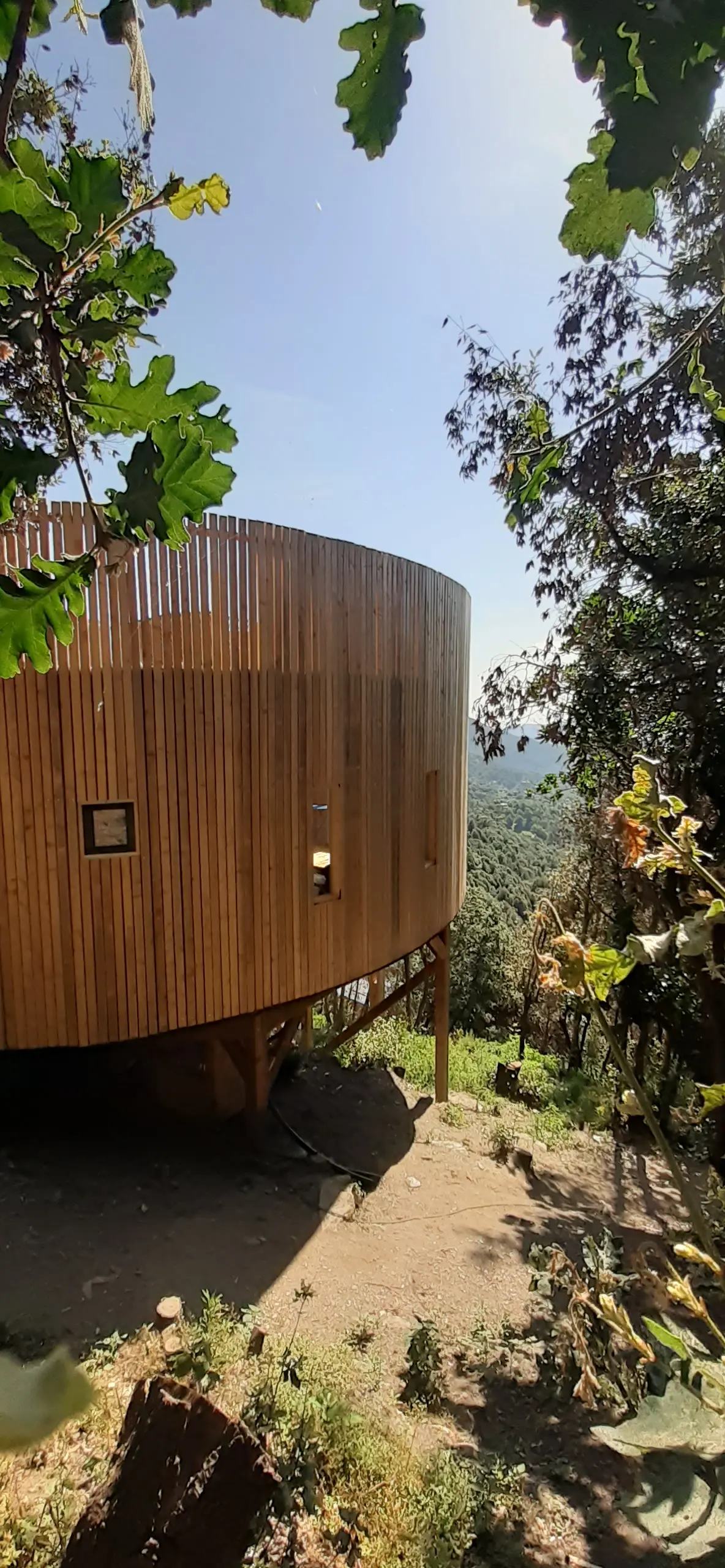 Cabane l'Albitru à Poggio-Marinaccio, photo 5