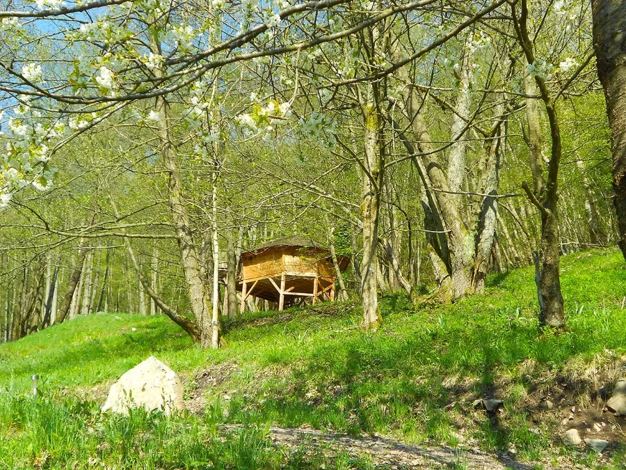 Cabane l'Appel de la Forêt, cabane sur pilotis à Grandfontaine