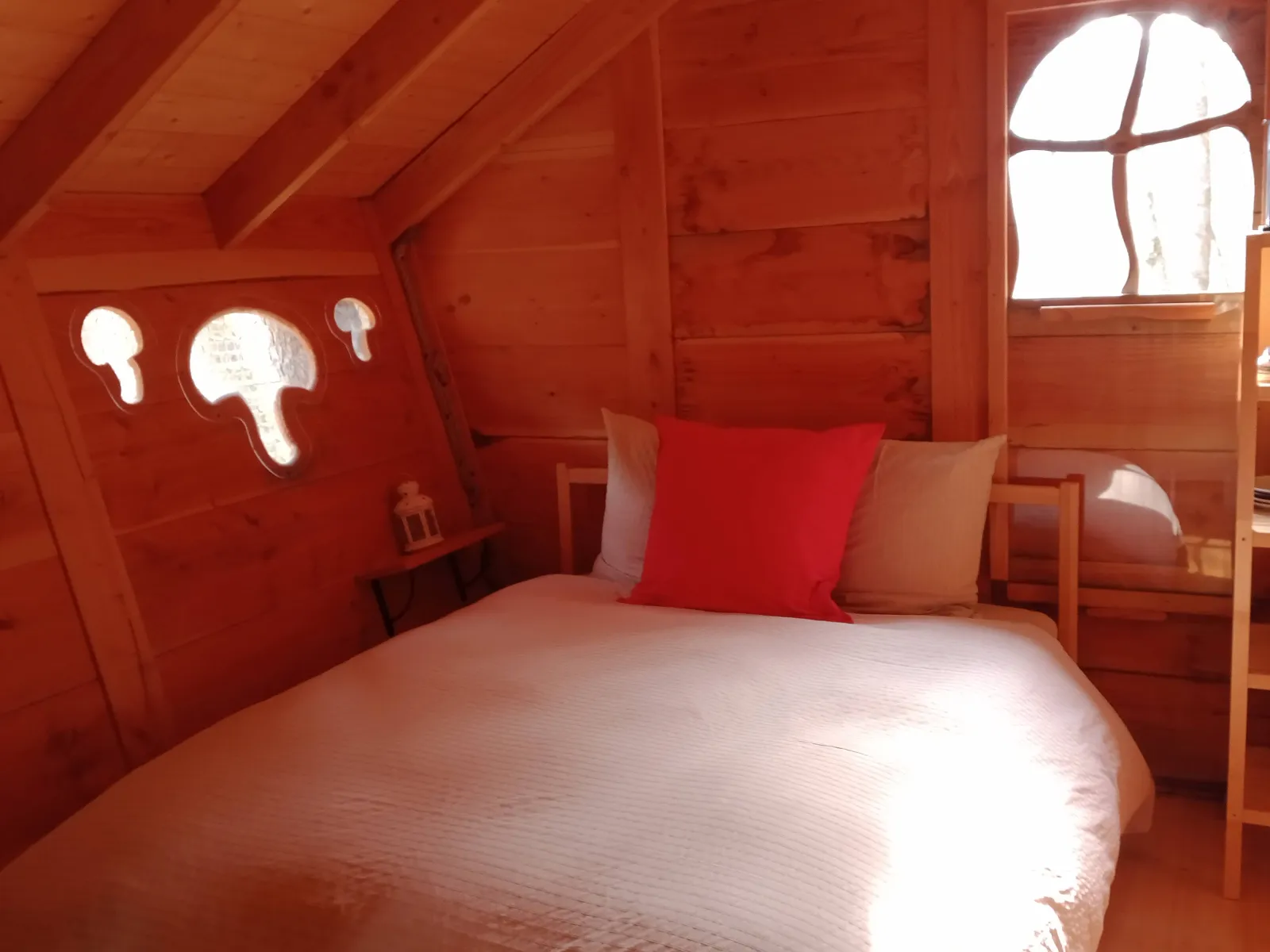 Cabane l'Appel de la Forêt à Grandfontaine, photo 3