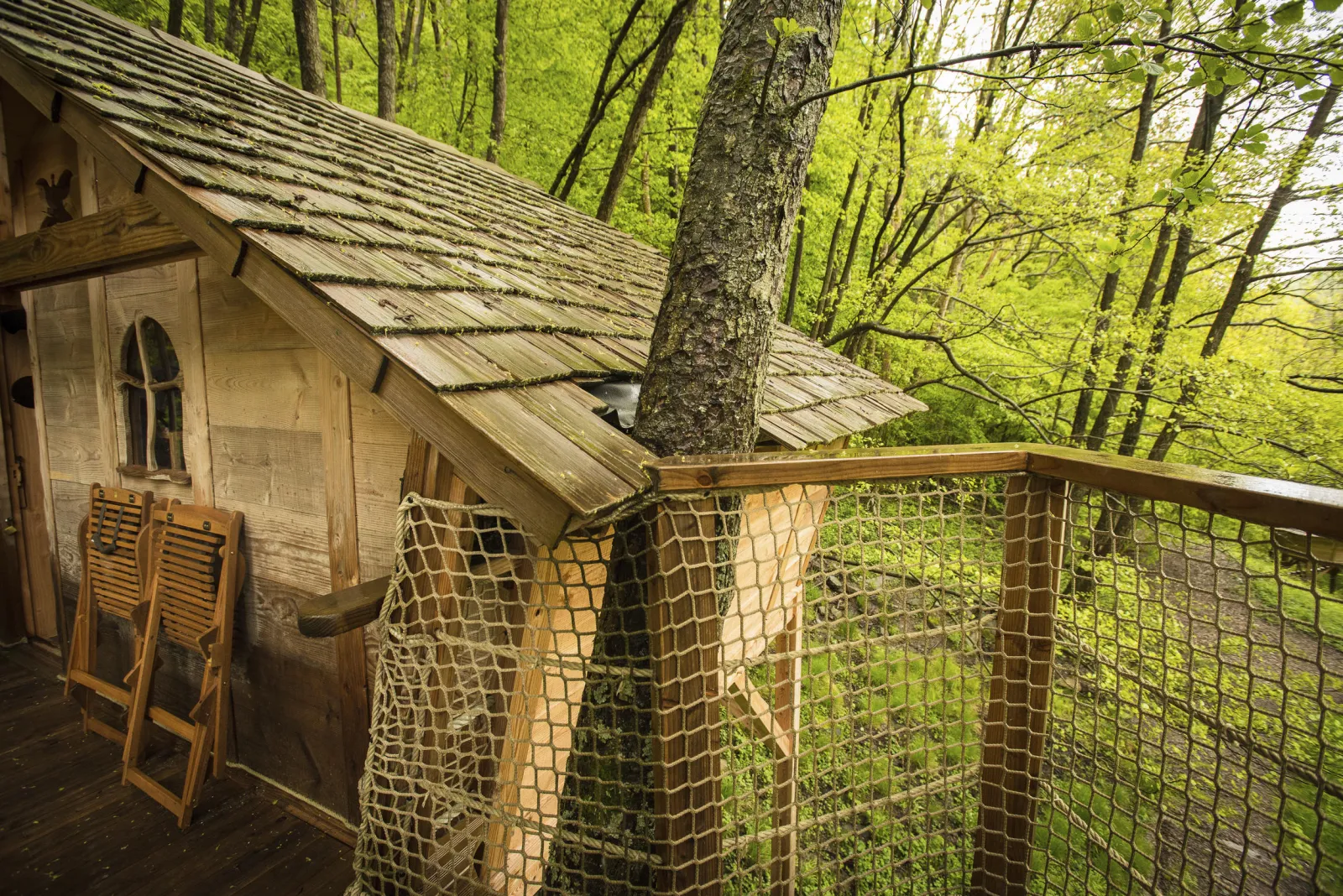 Cabane l'Appel de la Forêt à Grandfontaine, photo 4