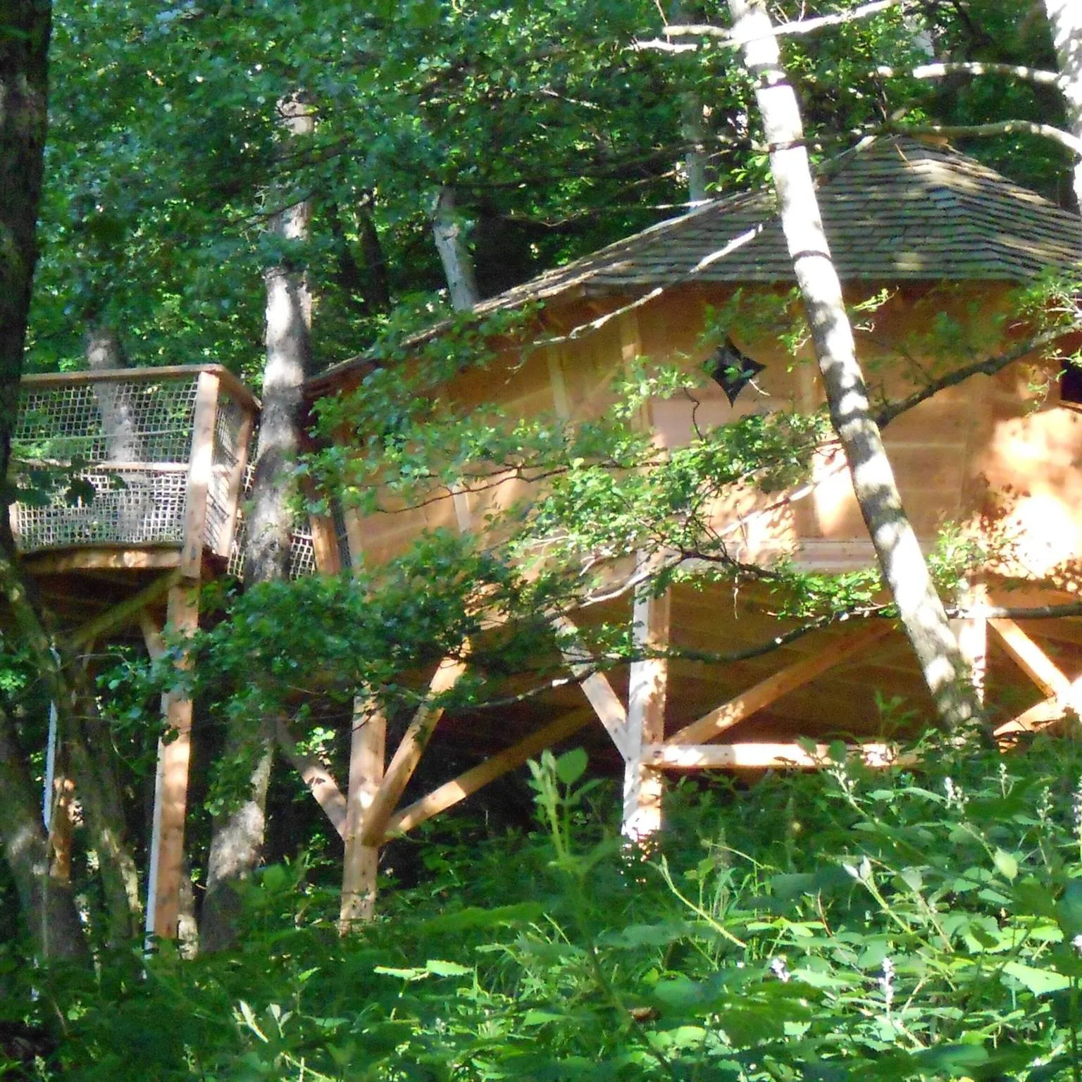 Cabane l'Appel de la Forêt à Grandfontaine, photo 5