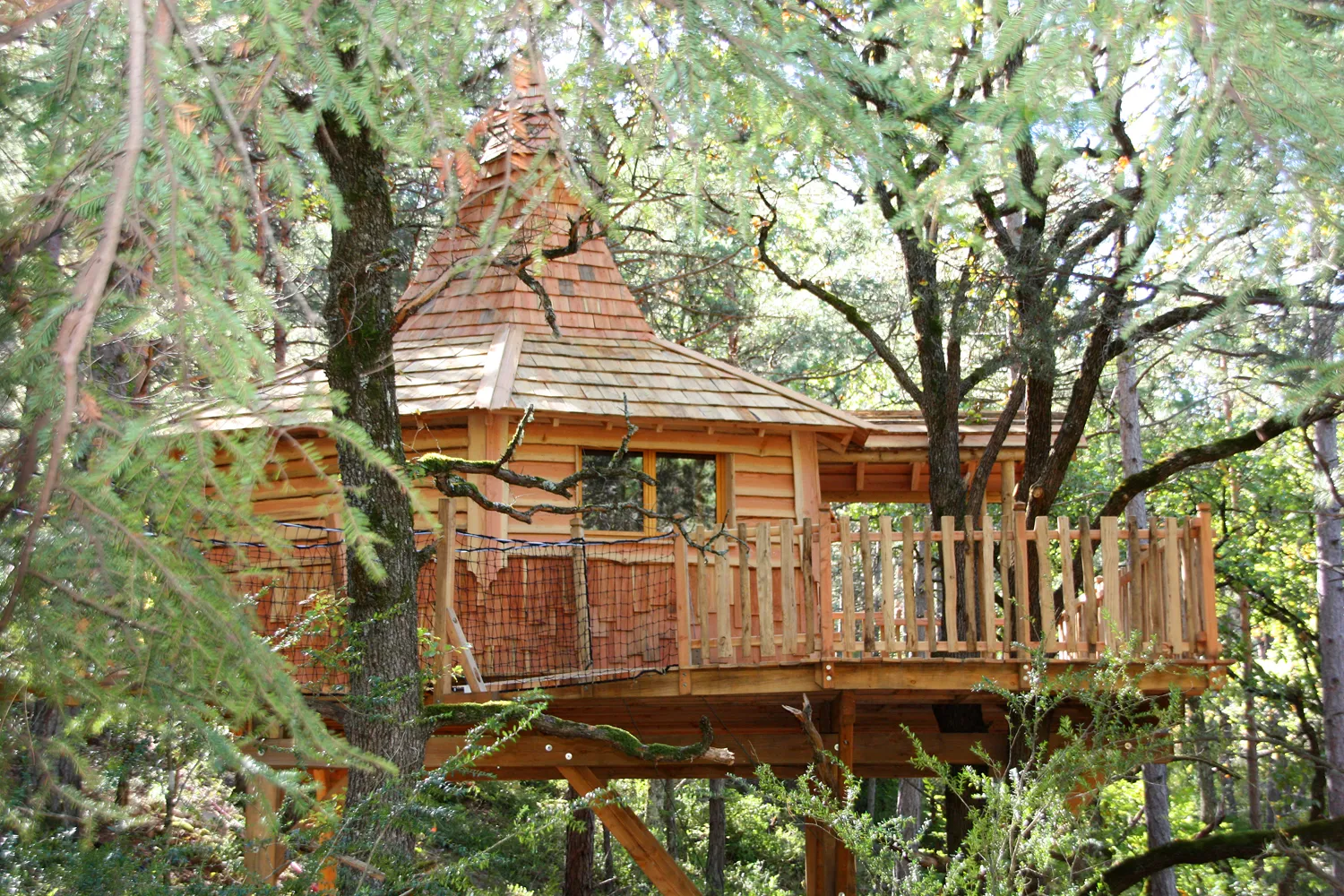 Cabane L'Aristoloche, cabane dans les arbres à Serres