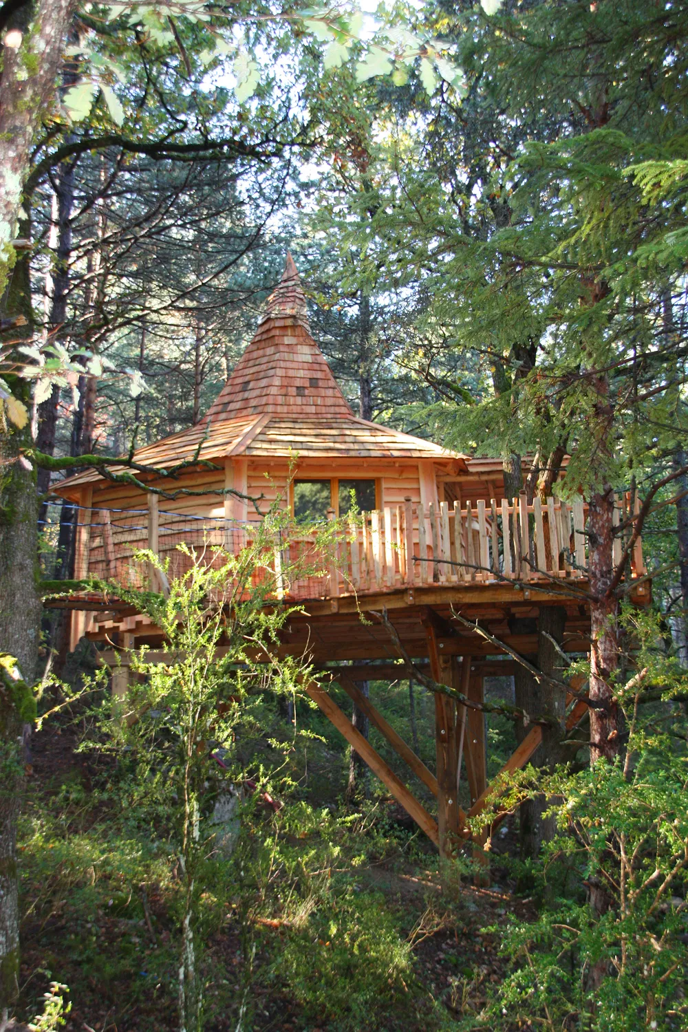 Cabane L'Aristoloche à Serres, photo 4