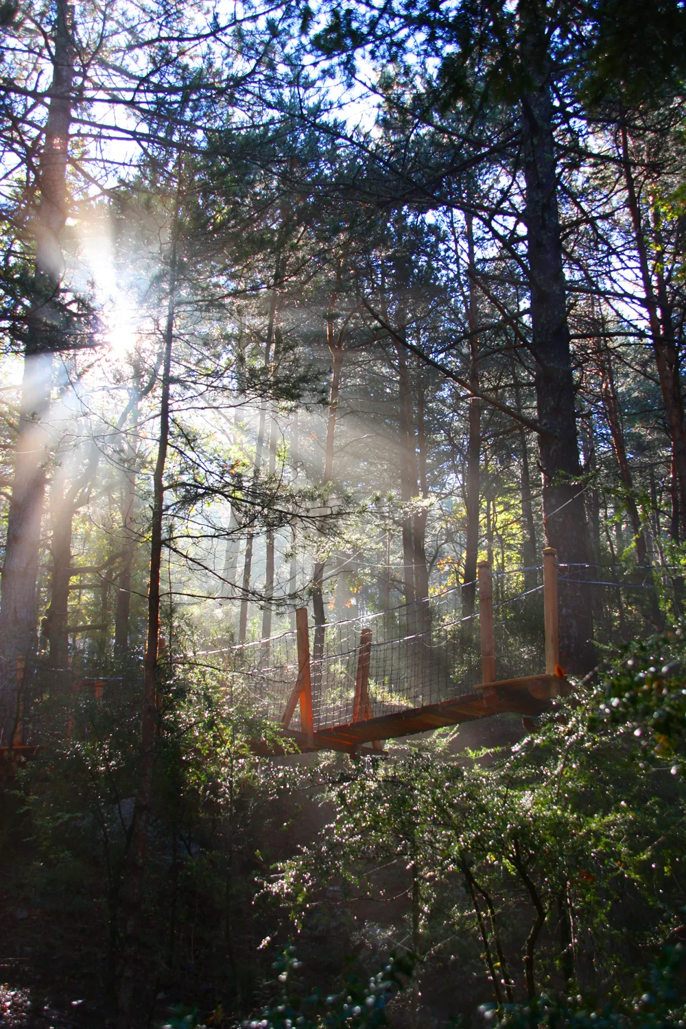 Cabane L'Aristoloche à Serres, photo 5