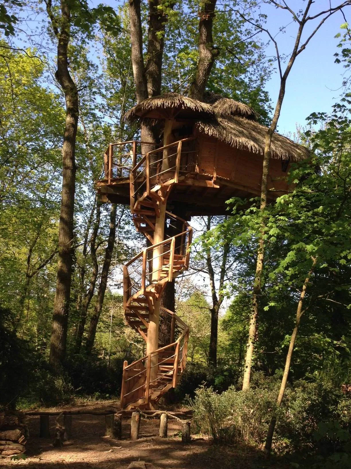 Cabane L'Aventurière, cabane dans les arbres à Les Garennes sur Loire