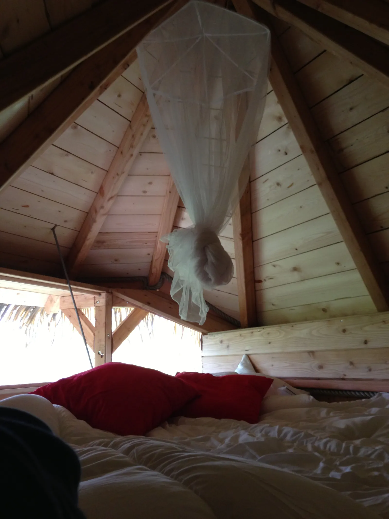 Cabane L'Aventurière à Les Garennes sur Loire, photo 5