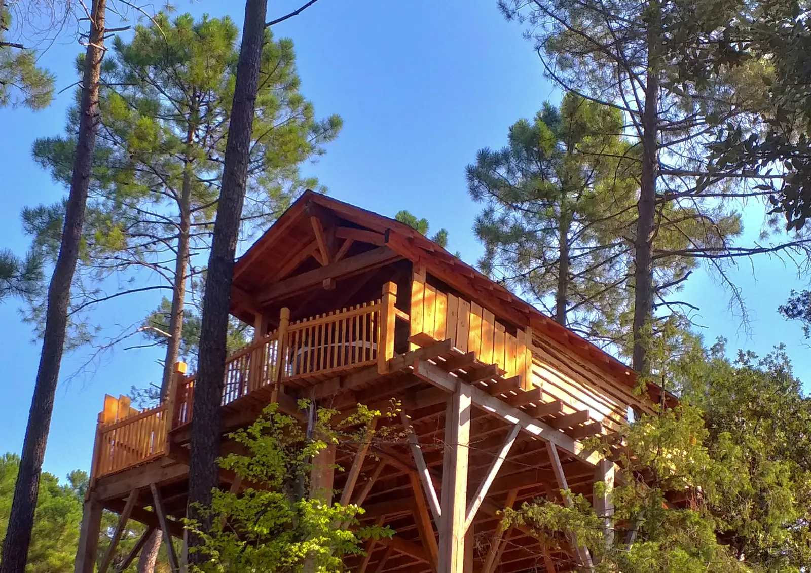 Cabane L'Eden, cabane dans les arbres à Les Salelles