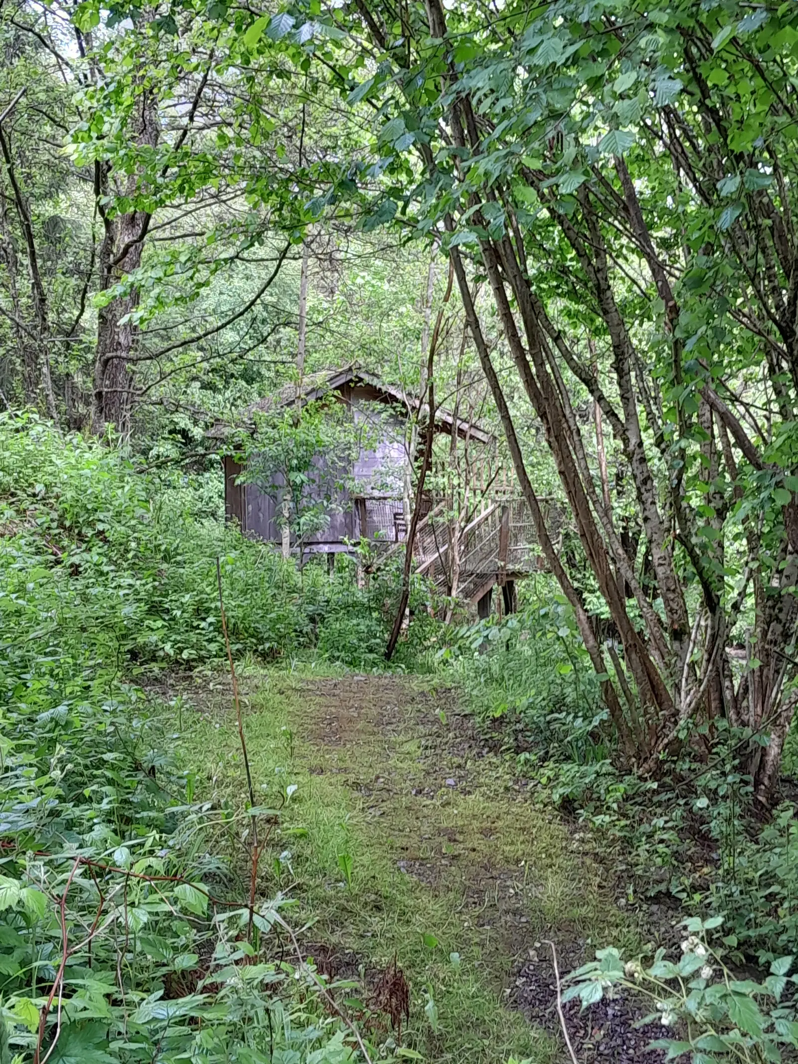 Cabane l'Île aux Pêcheurs à Grandfontaine, photo 5