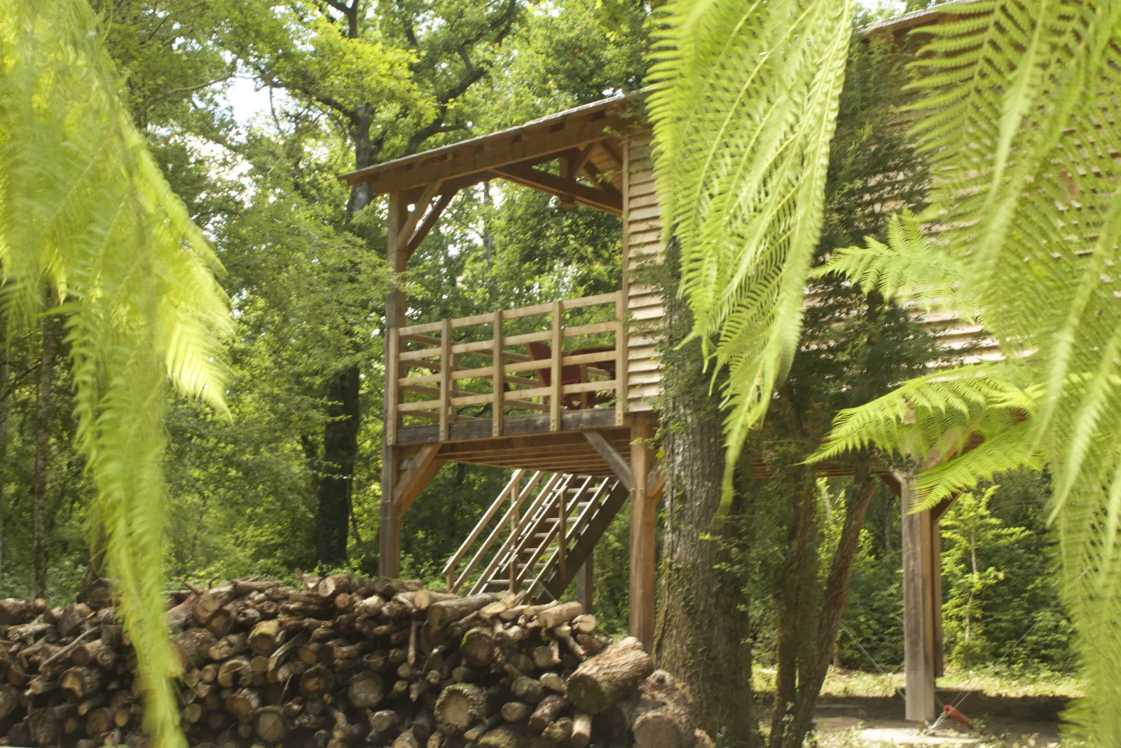 Cabane L'Ornitho à Gennes-Val-de-Loire, photo 2