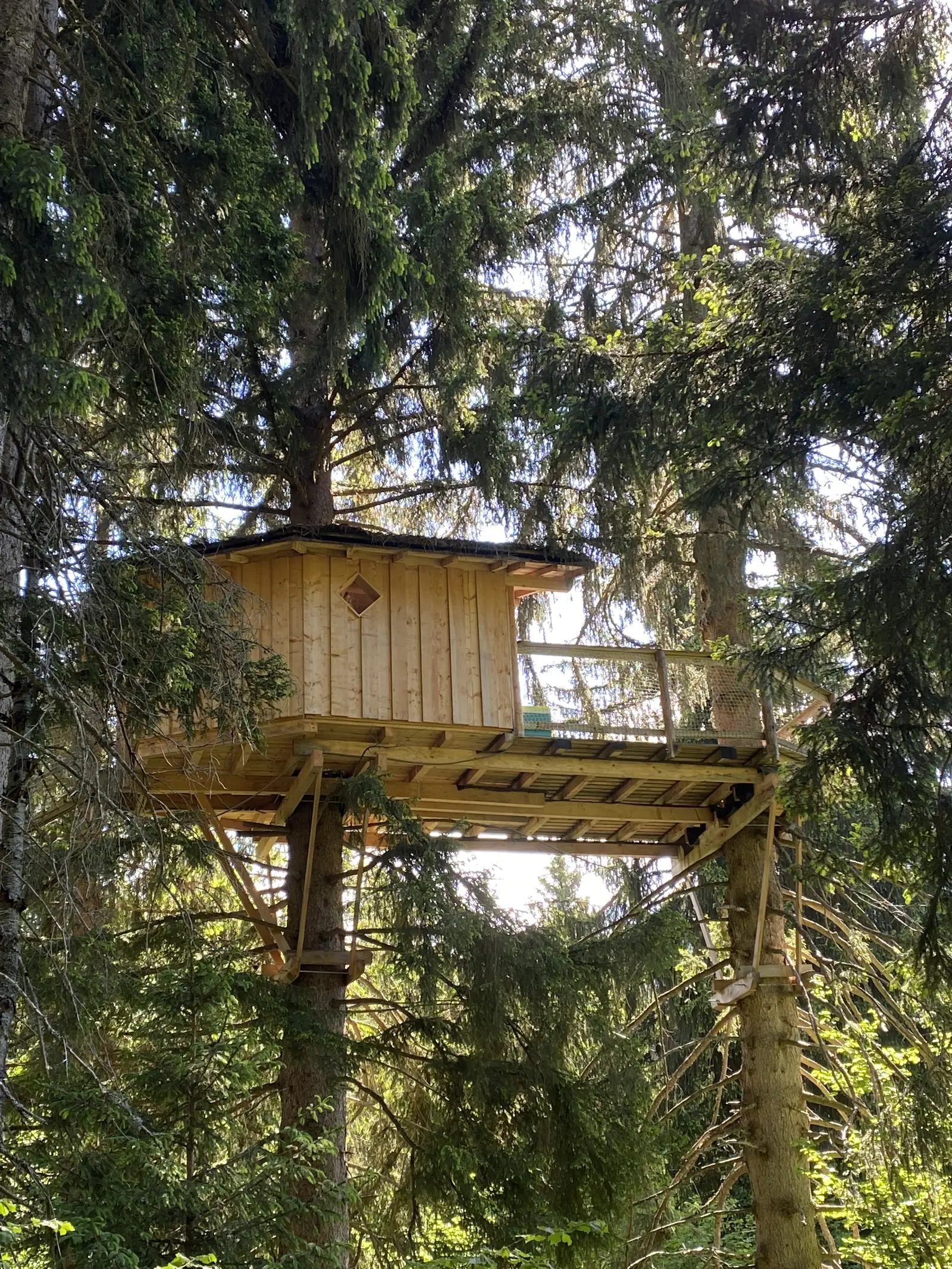 Cabane La 3 Monts, cabane dans les arbres à Passy
