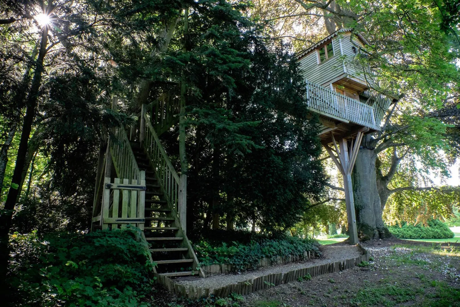 La Canopée, cabane dans les arbres à Chigny-les-Roses