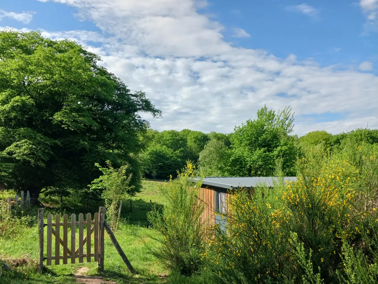 Cabane la Coccinelle à Saint-Bérain-sur-Dheune, photo 4