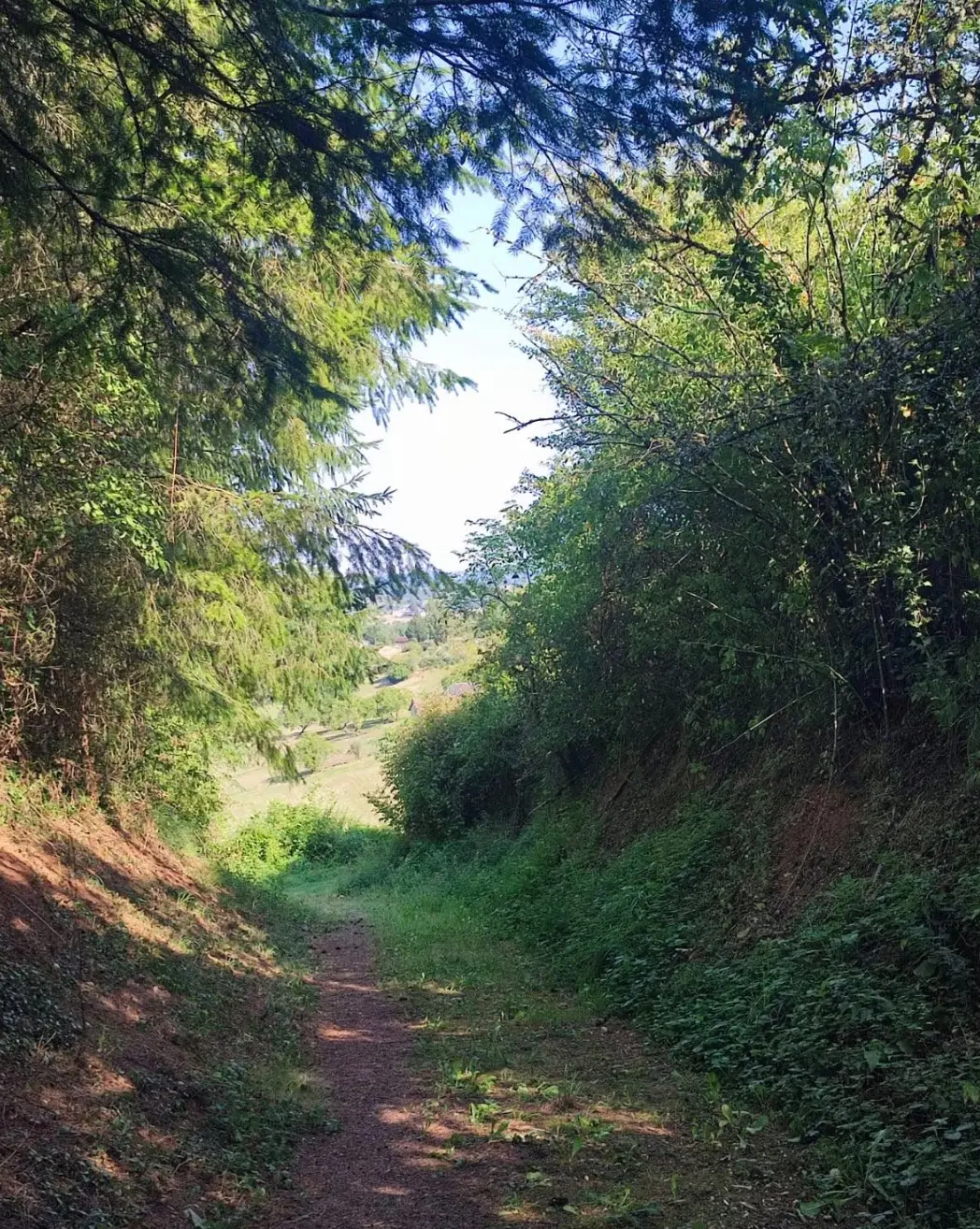 Cabane La Fleurie à Segonzac, photo 3