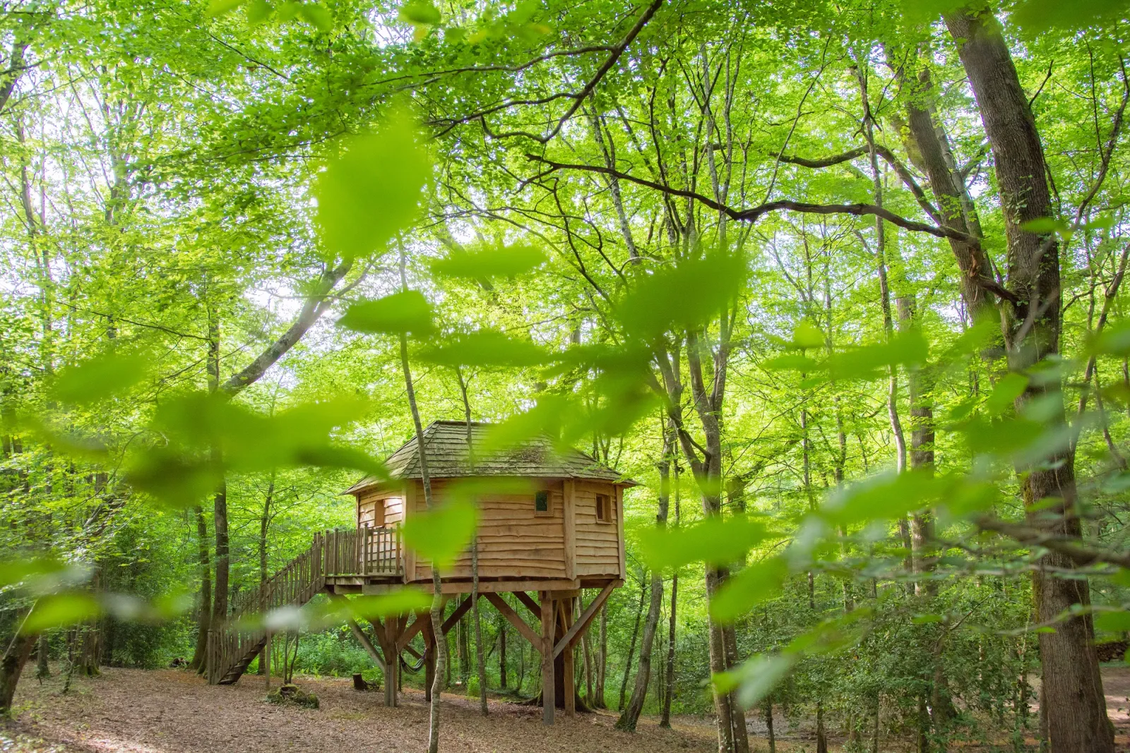La Folie des Grandeurs, cabane dans les arbres à Coulx