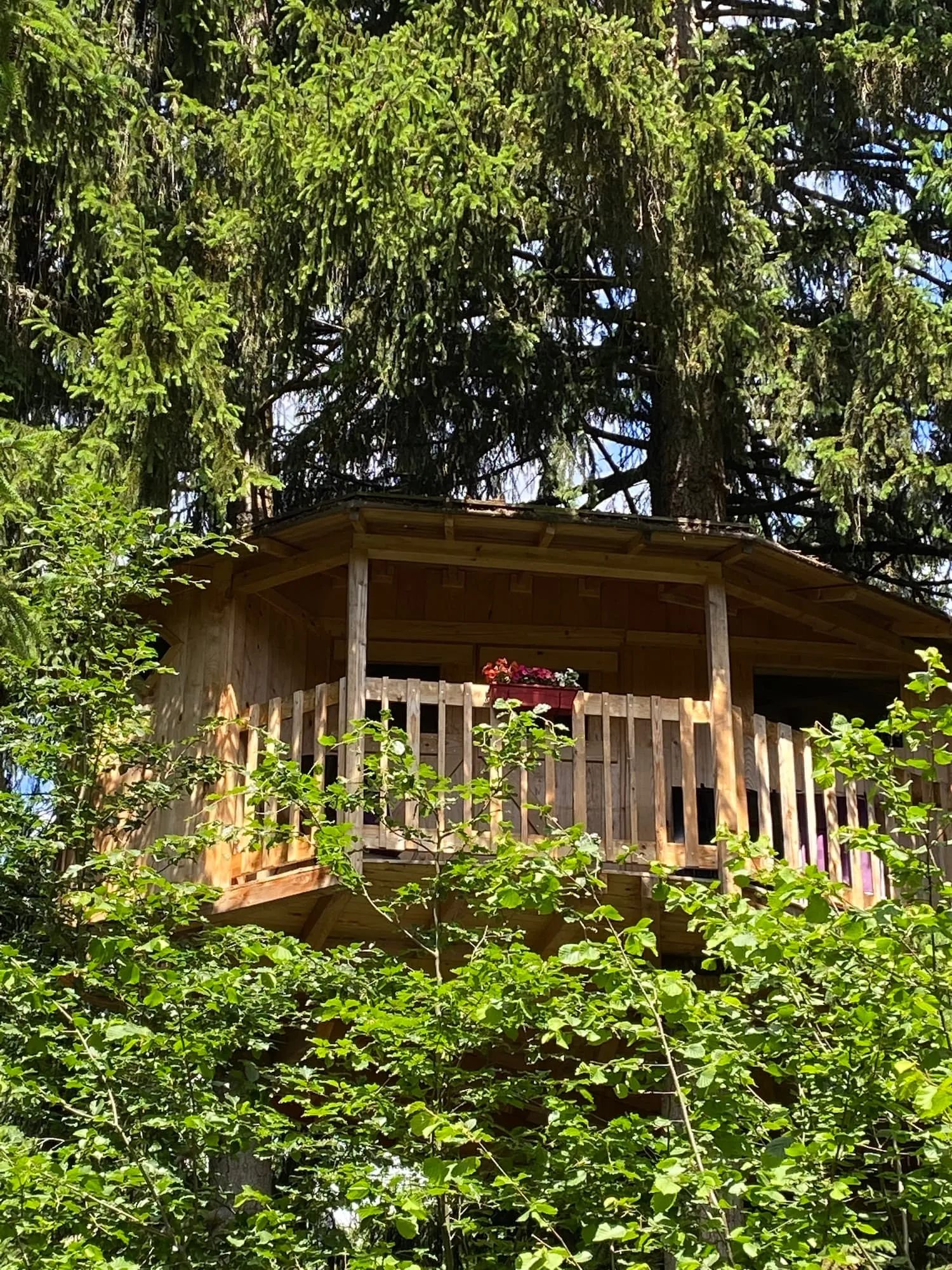 Cabane La Marmotte, cabane dans les arbres à Passy