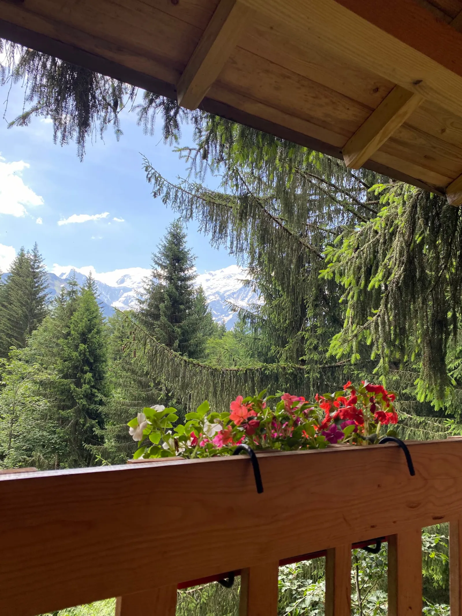 Cabane La Marmotte à Passy, photo 2